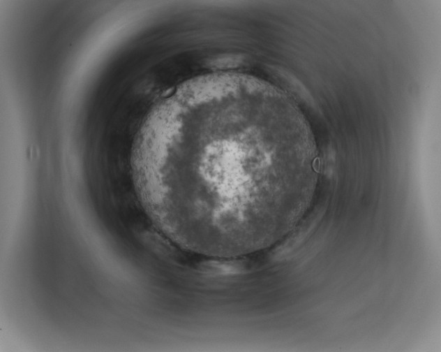 X0000111150763200907071109