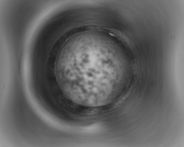 X0000111150764200907071109