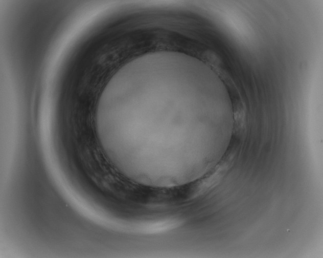 X0000111150765200907071109