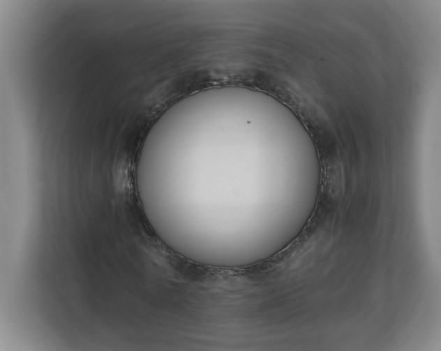 X0000111150770200907071108