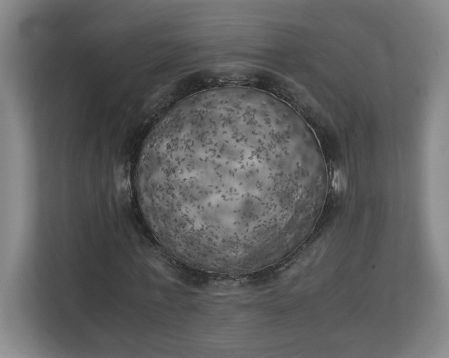 X0000111150771200907071108