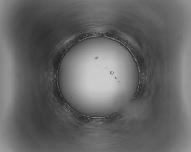 X0000111150773200907071108