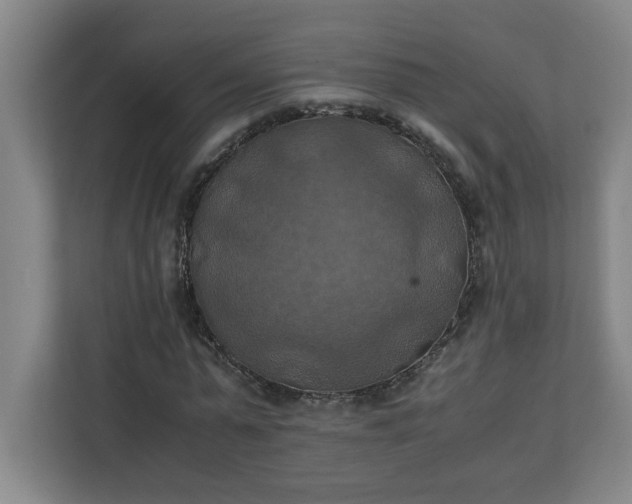 X0000111150775200907071108