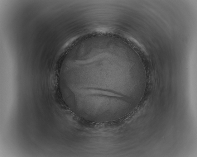 X0000111150776200907071108