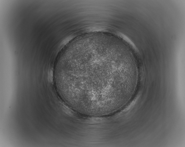 X0000111150777200907071108
