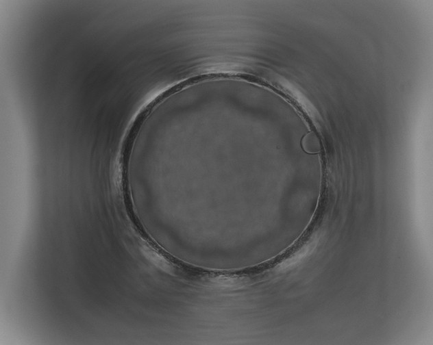 X0000111150779200907071108