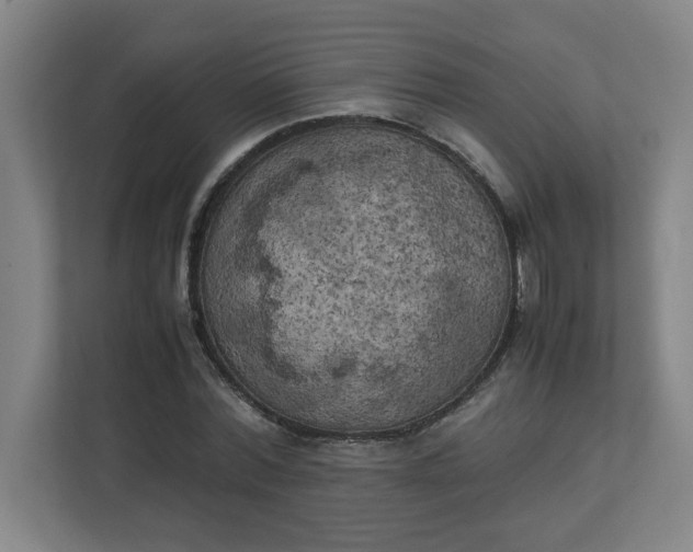 X0000111150780200907071108