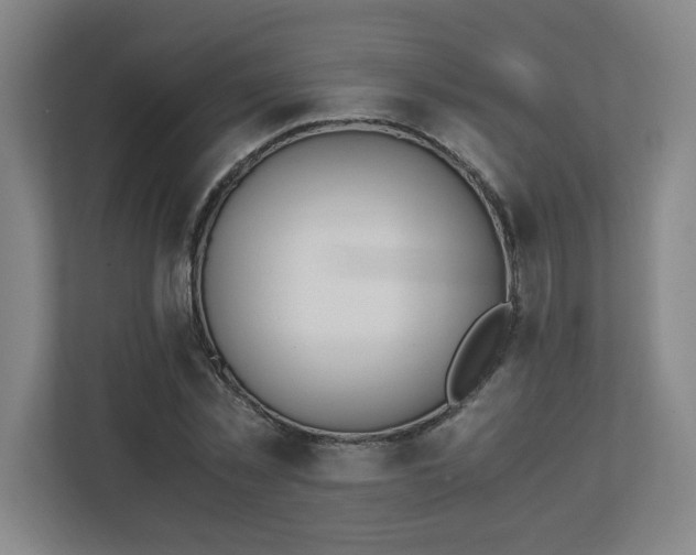 X0000111150781200907071108