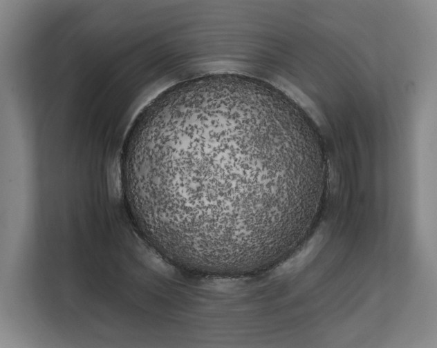 X0000111150782200907071108