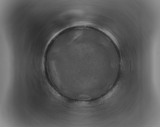 X0000111150783200907071108