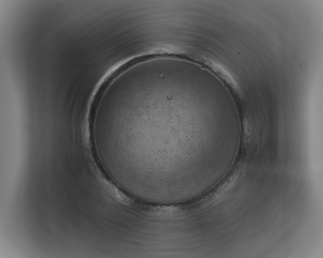 X0000111150784200907071108