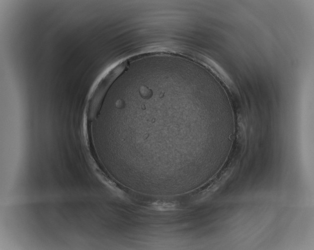 X0000111150788200907071108