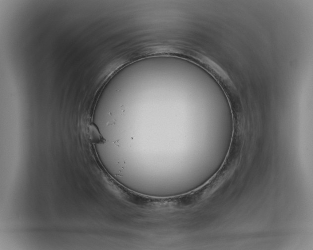 X0000111150793200907071108