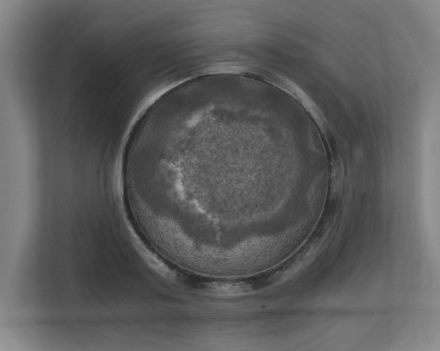X0000111150795200907071108