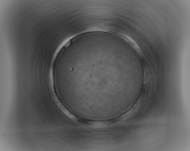 X0000111150796200907071108