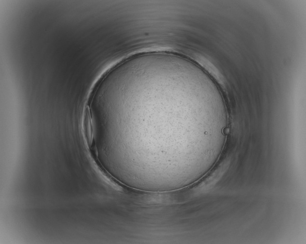 X0000111150797200907071108
