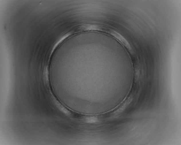 X0000111150798200907071108