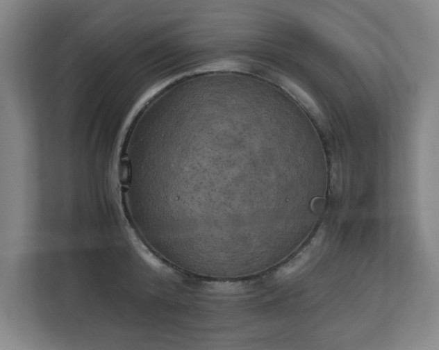 X0000111150800200907071108
