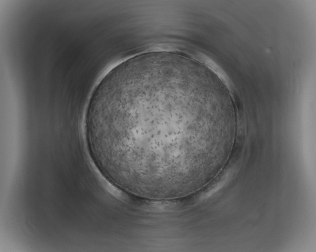 X0000111150803200907071108