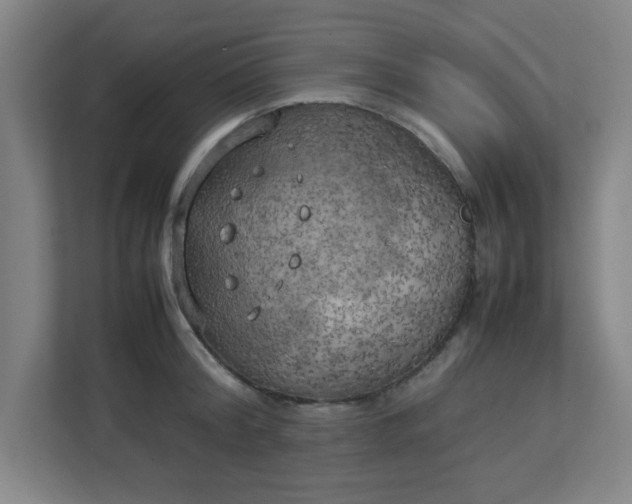 X0000111150804200907071108