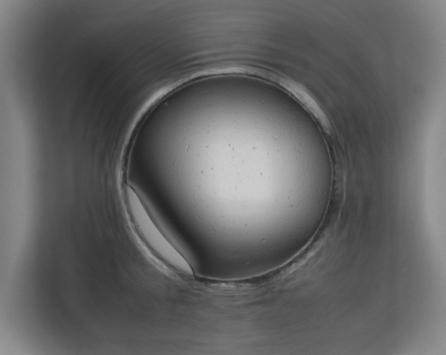 X0000111150805200907071108