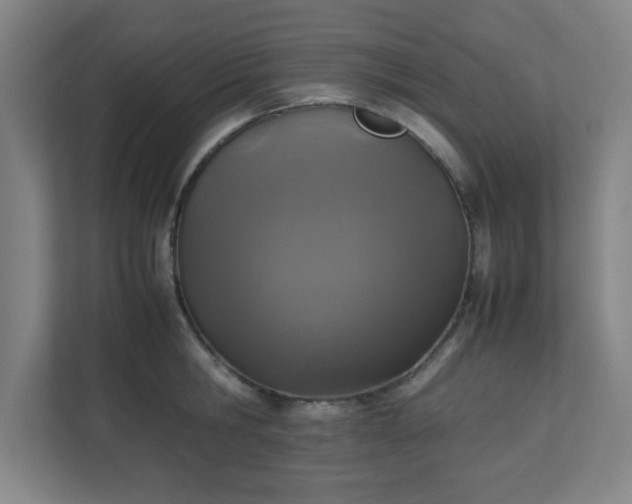 X0000111150806200907071108