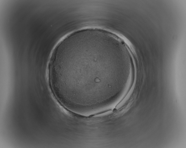 X0000111150807200907071108