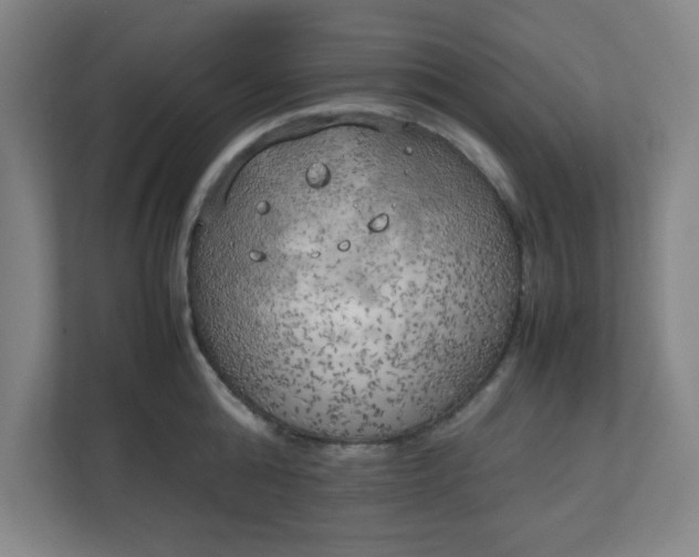 X0000111150808200907071108