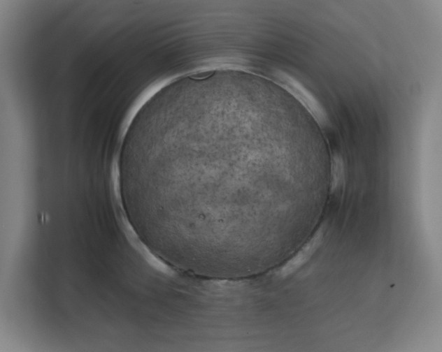 X0000111150812200907071108