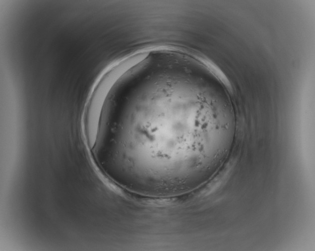 X0000111150813200907071108