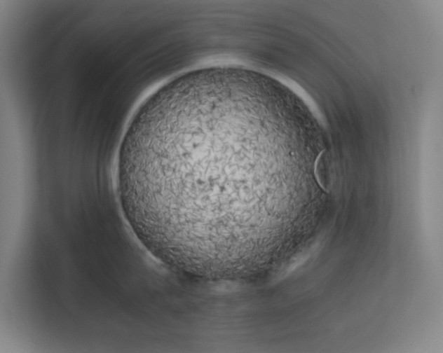 X0000111150815200907071108