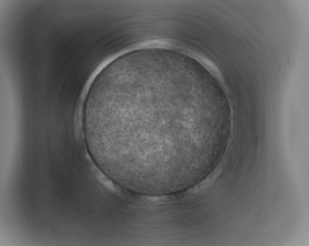 X0000111150816200907071108