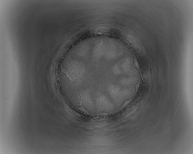 X0000111150817200907071107