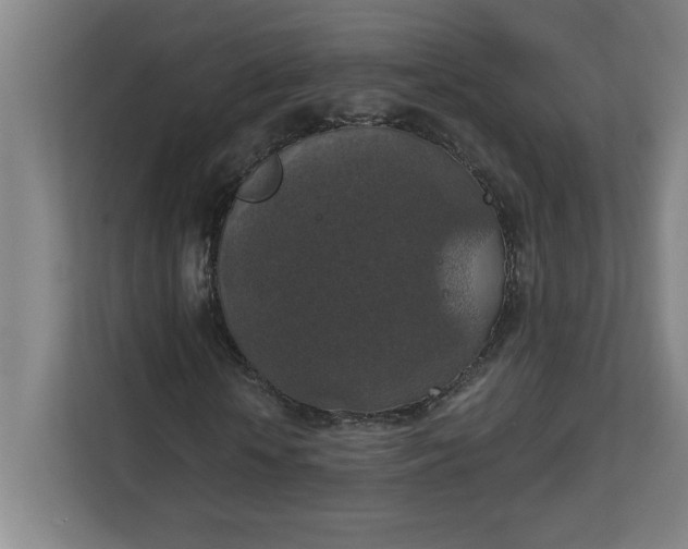 X0000111150818200907071107