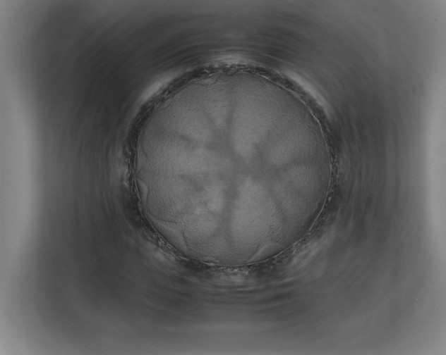 X0000111150823200907071107