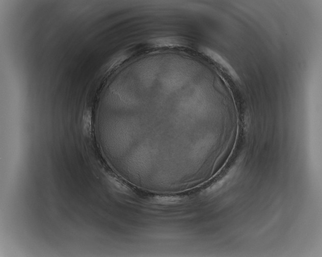 X0000111150825200907071107
