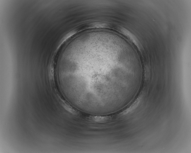 X0000111150827200907071107
