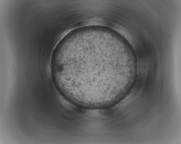 X0000111150828200907071107