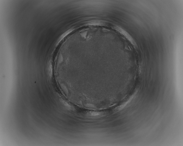 X0000111150829200907071107