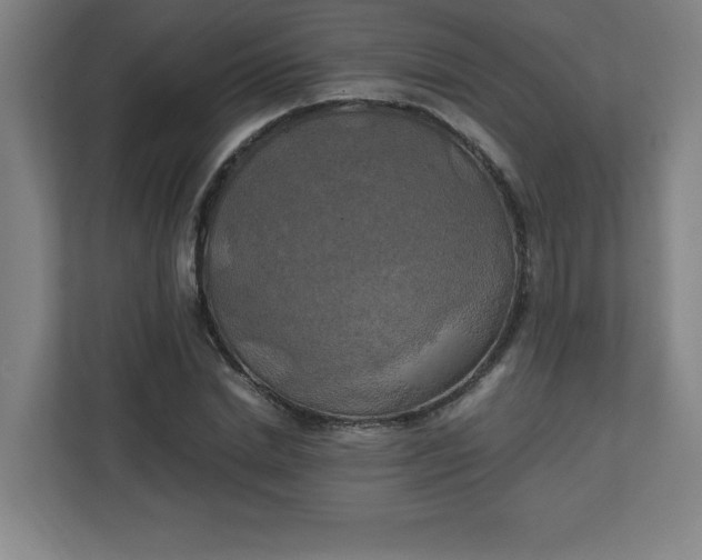 X0000111150830200907071107