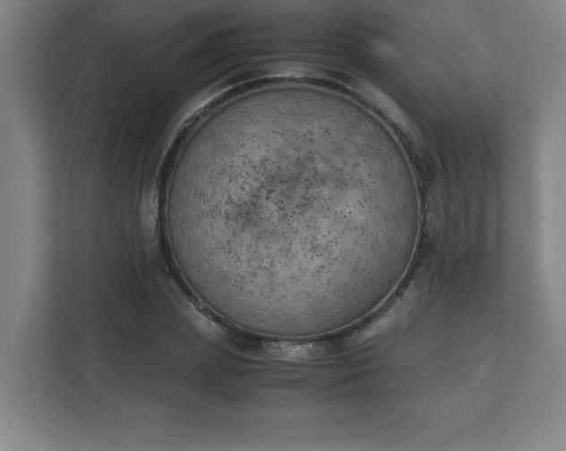 X0000111150831200907071107