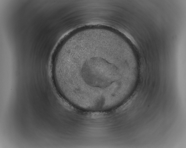 X0000111150832200907071107