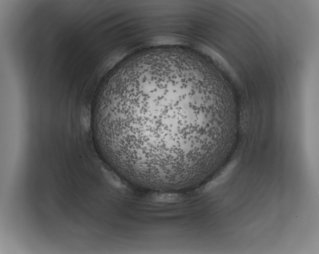 X0000111150833200907071107