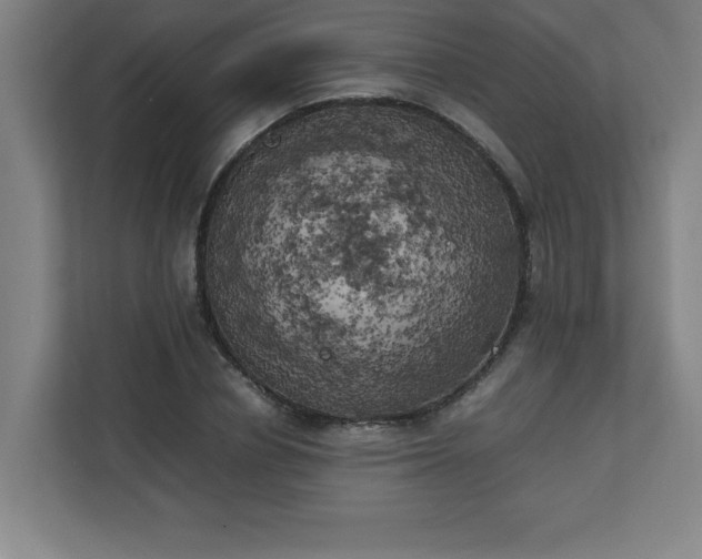 X0000111150834200907071107