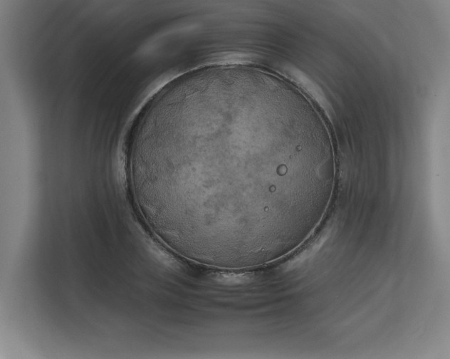 X0000111150835200907071107