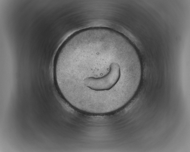 X0000111150836200907071107