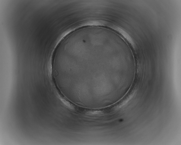 X0000111150837200907071107