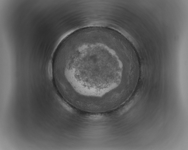 X0000111150838200907071107