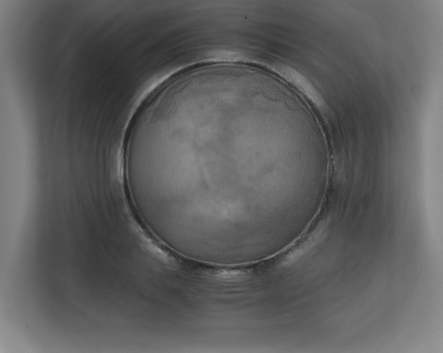X0000111150839200907071107