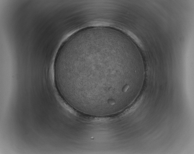 X0000111150840200907071107